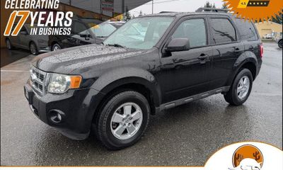 2010 Ford Escape XLT