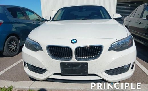 2015 BMW 228I Coupe