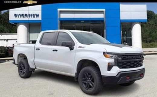 2023 Chevrolet Silverado Trail Boss Custom