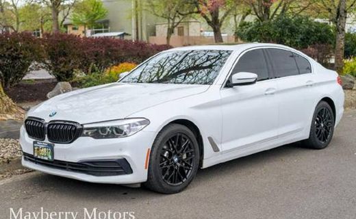 2019 BMW 530I