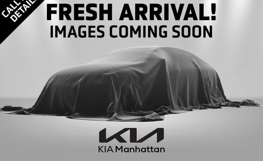 2020 Hyundai Ioniq SE