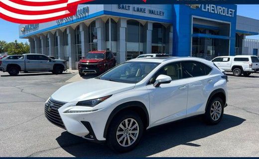 2019 Lexus NX 300 Luxury