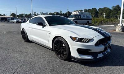 2019 Ford Mustang Shelby Coupe