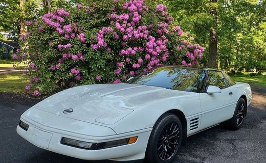 1991 Chevrolet Corvette