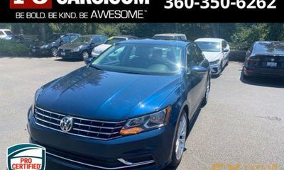 2019 Volkswagen Passat Wolfsburg