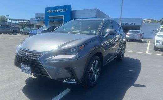 2021 Lexus NX 300 Premium