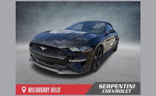 2019 Ford Mustang