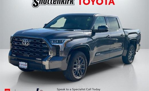 2022 Toyota Tundra Platinum