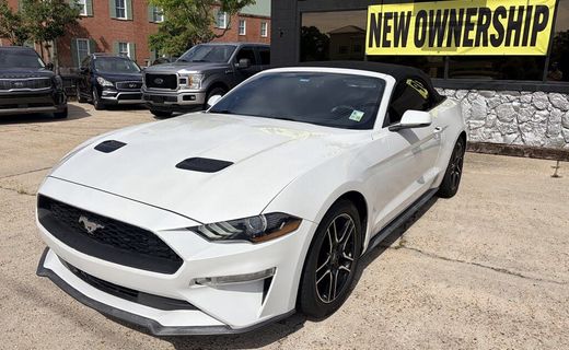 2019 Ford Mustang