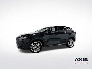 2024 Lexus NX 350 Luxury
