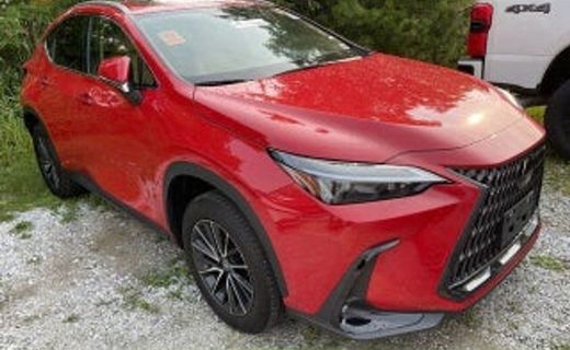 2024 Lexus NX 350 Base