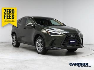 2025 Lexus NX 350H Luxury