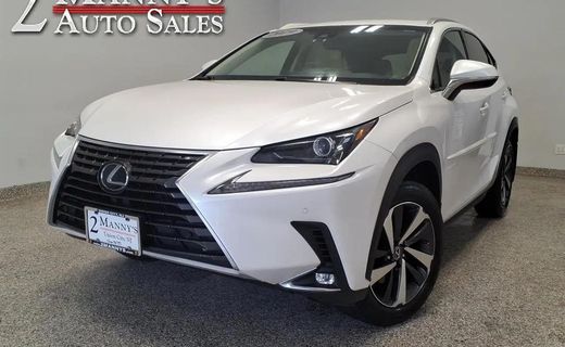 2019 Lexus NX 300 Luxury