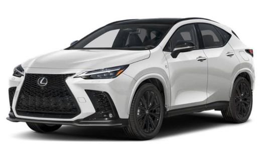 2025 Lexus NX Luxury