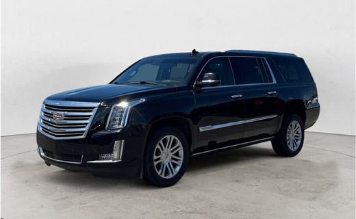 2020 Cadillac Escalade ESV Platinum