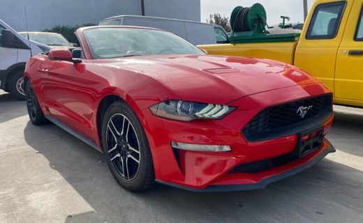 2019 Ford Mustang