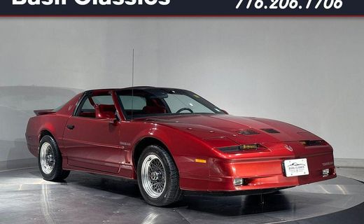 1987 Pontiac Firebird Trans AM