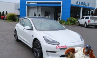 2021 Tesla Model 3 Standard Range Plus