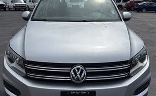 2015 Volkswagen Tiguan S