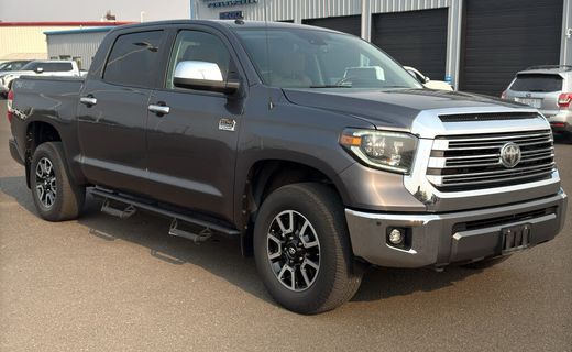 2019 Toyota Tundra Platinum Grade