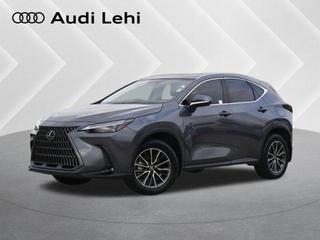 2025 Lexus NX 350H Luxury