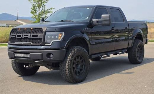 2009 Ford F-150