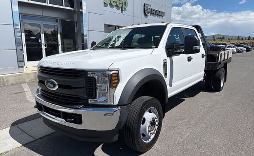 2019 Ford F-550 Super Duty Dual