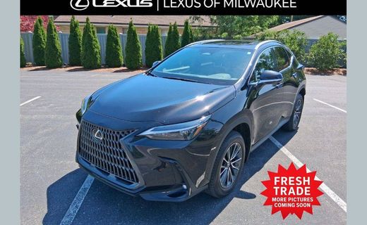 2024 Lexus NX 350 Base
