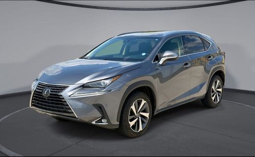 2019 Lexus NX 300 Luxury