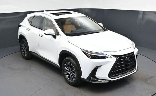 2026 Lexus NX Luxury