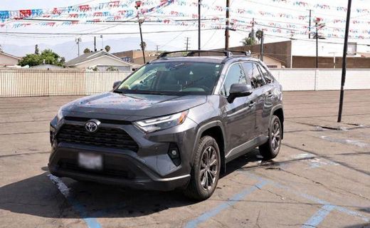 2024 Toyota RAV4 XLE Premium