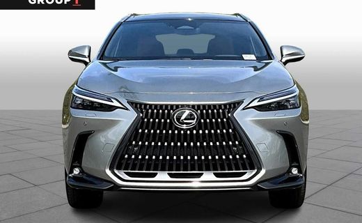 2025 Lexus NX Luxury