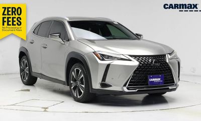2019 Lexus UX 200 Base Luxury