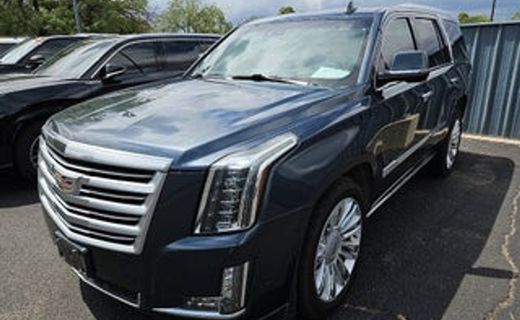 2019 Cadillac Escalade Platinum