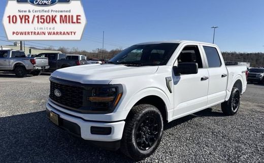 2025 Ford F-150 STX