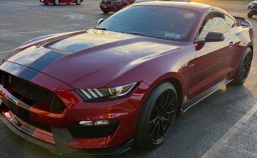 2019 Ford Mustang Shelby Coupe