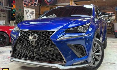 2019 Lexus NX 300 Luxury