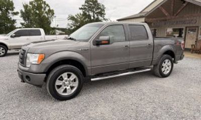 2010 Ford F-150 Styleside