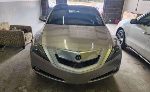 2010 Acura ZDX Advance