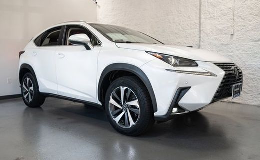 2019 Lexus NX 300 Luxury