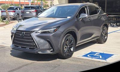 2024 Lexus NX Luxury