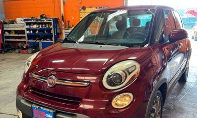 2015 Fiat 500L Trekking