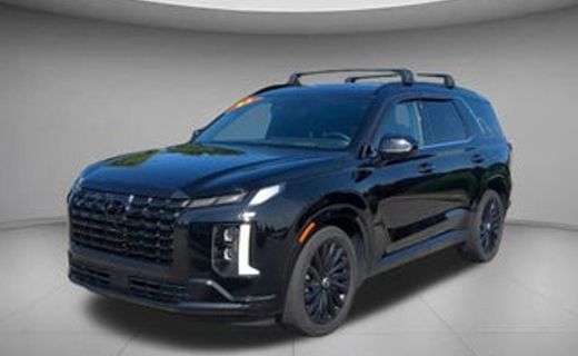 2024 Hyundai Palisade Calligraphy Night