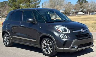 2014 Fiat 500L Trekking