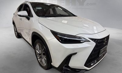 2025 Lexus NX 350 Luxury
