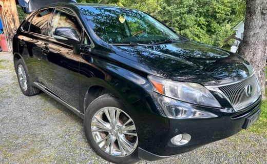 2010 Lexus RX