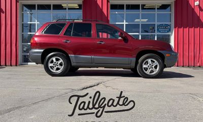 2004 Hyundai Santa FE LX