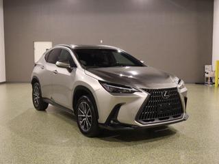 2024 Lexus NX 350 Base