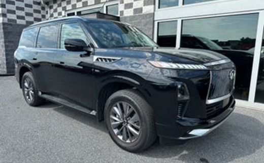 2025 Infiniti QX80 Pure