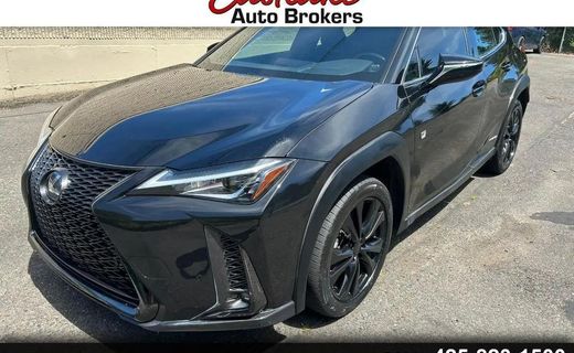 2021 Lexus UX